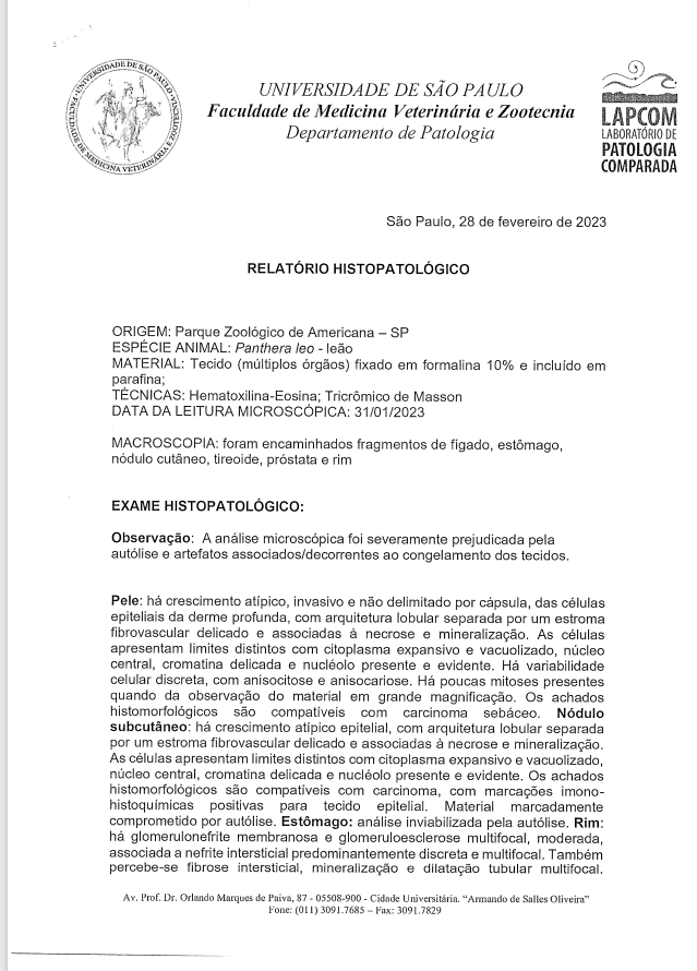 Laudo-Usp Laudo confirma que câncer foi a causa da morte do leão Nagan