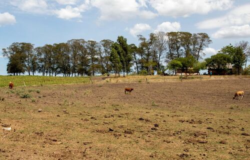 El Niño é anunciado no Brasil e pode durar até 2 anos