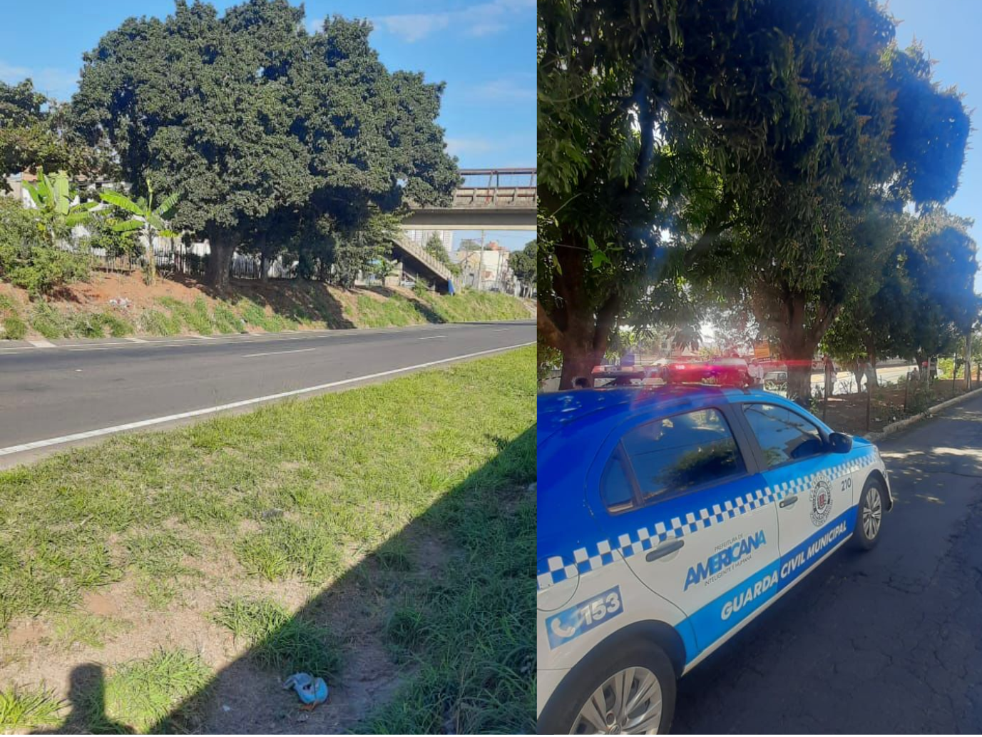 Guarda Municipal de Americana encontra corpo não identificado na Rodovia Luís de Queiroz