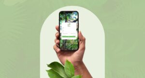 refloresta-1024x553-1-300x162 Vai Vendo Brasil Portal de Notícias