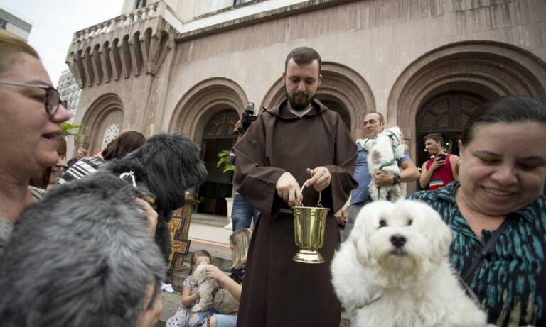 Entre Medalhas e Dias: Uma Semana de Votação com 10 projetos, só 10%  parece ser relevante ao coletivo da população de Americana