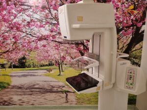 53234400174_4eb02e209e_4k-300x225 Vai Vendo Brasil Portal de Notícias