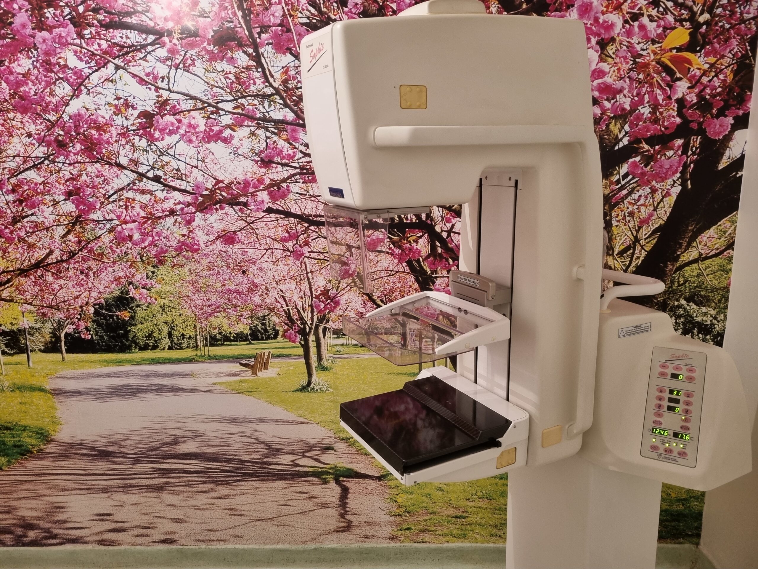 Prefeitura de Americana triplica oferta de mamografias em outubro