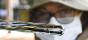 55ed35d9-0d11-4539-a874-cc8c61ebf8dd-300x138 Vai Vendo Brasil Portal de Notícias