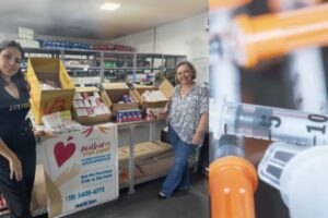 Lionela-300x200 Vai Vendo Brasil Portal de Notícias