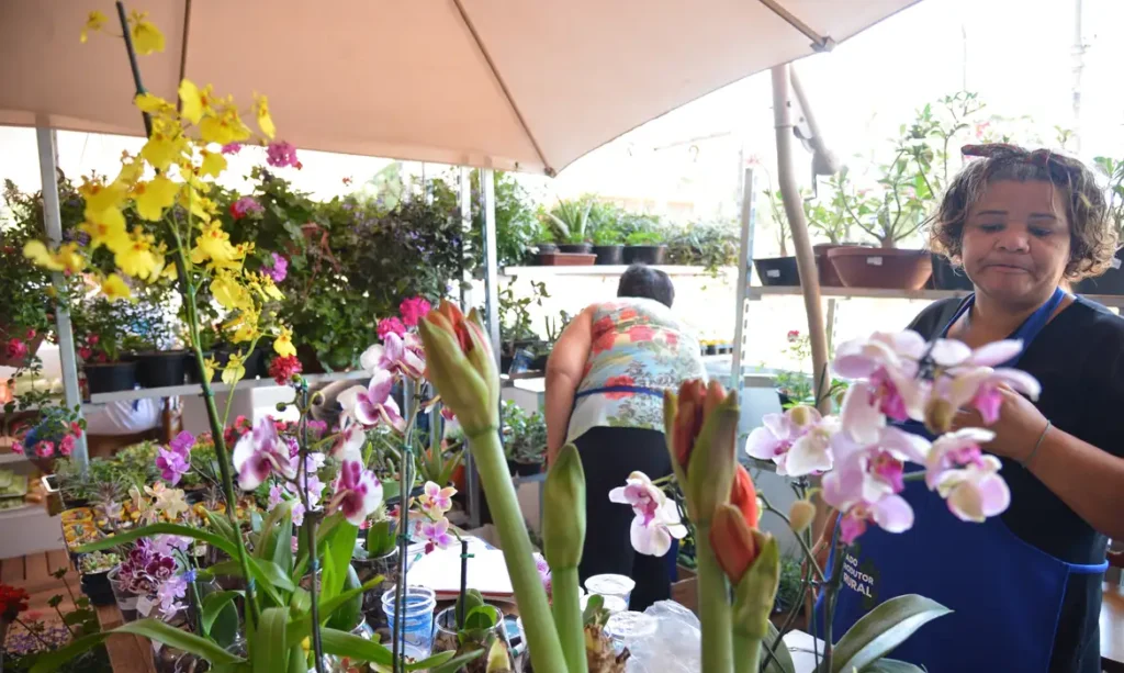 mei-flores-1024x613 Desenrola para MEI e micro e pequenas empresas começa nesta segunda