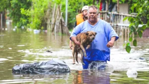 rg-300x169 Vai Vendo Brasil Portal de Notícias