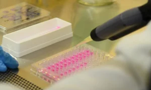 1019001-11052016dsc_0383a--300x179 Vai Vendo Brasil Portal de Notícias