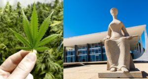 STF-Maconha-300x161 Vai Vendo Brasil Portal de Notícias
