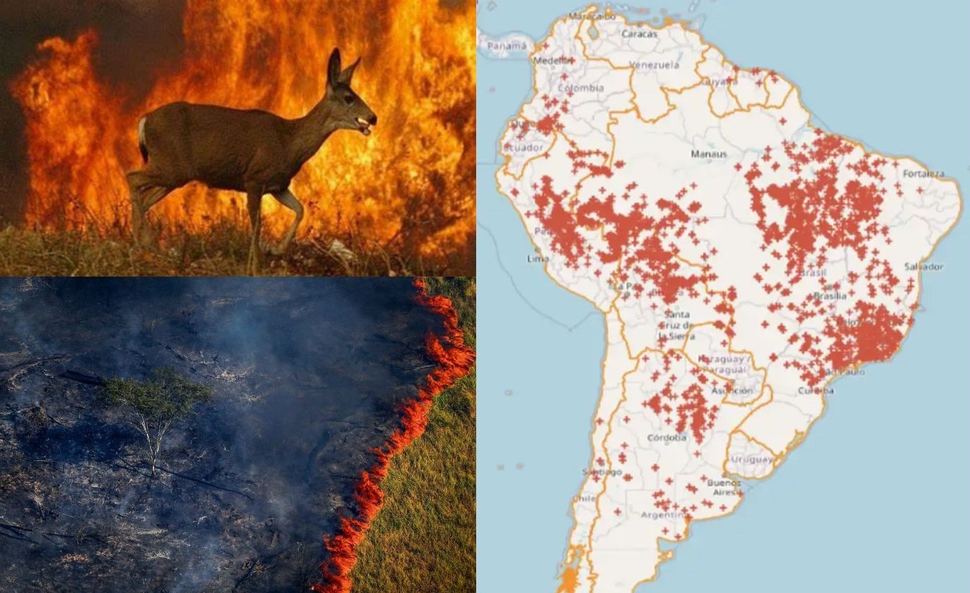 Brasil concentra 71,9% das queimadas na América do Sul nas últimas 48h