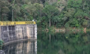 0g0a5588-300x179 Vai Vendo Brasil Portal de Notícias