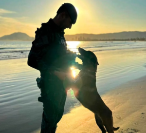 canil-300x273 Vai Vendo Brasil Portal de Notícias