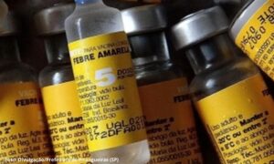 Febre-amarela-300x180 Vai Vendo Brasil Portal de Notícias