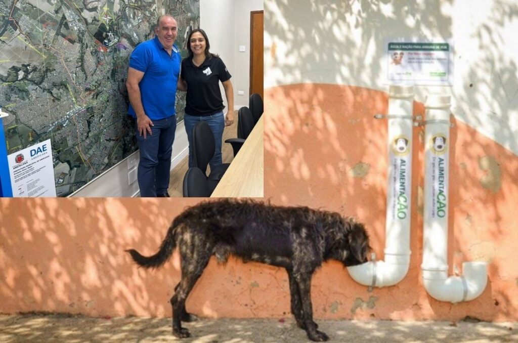 Robert-DAE-1024x678 Roberta Lima Quer Água de Qualidade para os Pets em Americana