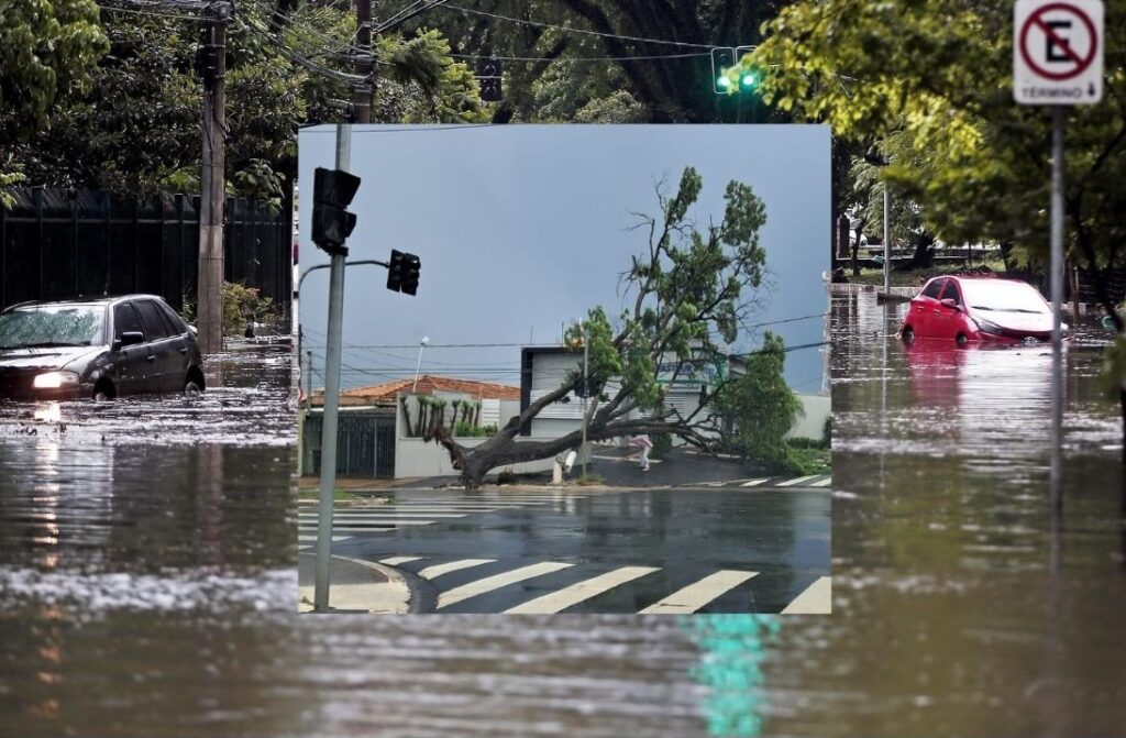 foto-arvore-alagamento-1024x671 Municípios paulistas têm deslizamentos e alagamentos devido às chuvas