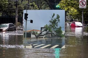 foto-arvore-alagamento-300x197 Vai Vendo Brasil Portal de Notícias