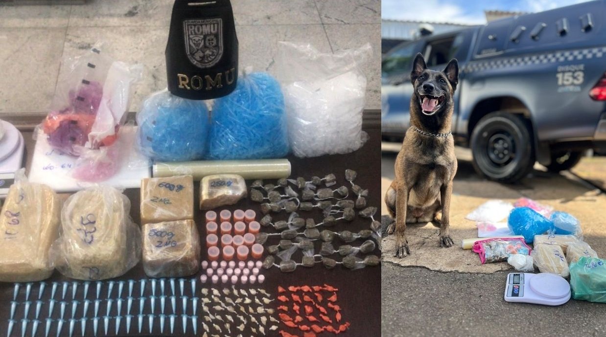 Denúncia Anônima Leva GAMA a Local de Tráfico e Apreensão de Drogas