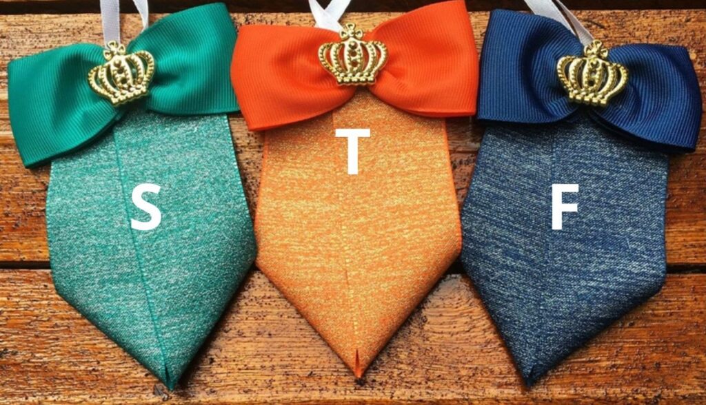 STF-grav-arte-1024x588 Artigo: STF Fashion, Vaidade ou Necessidade?