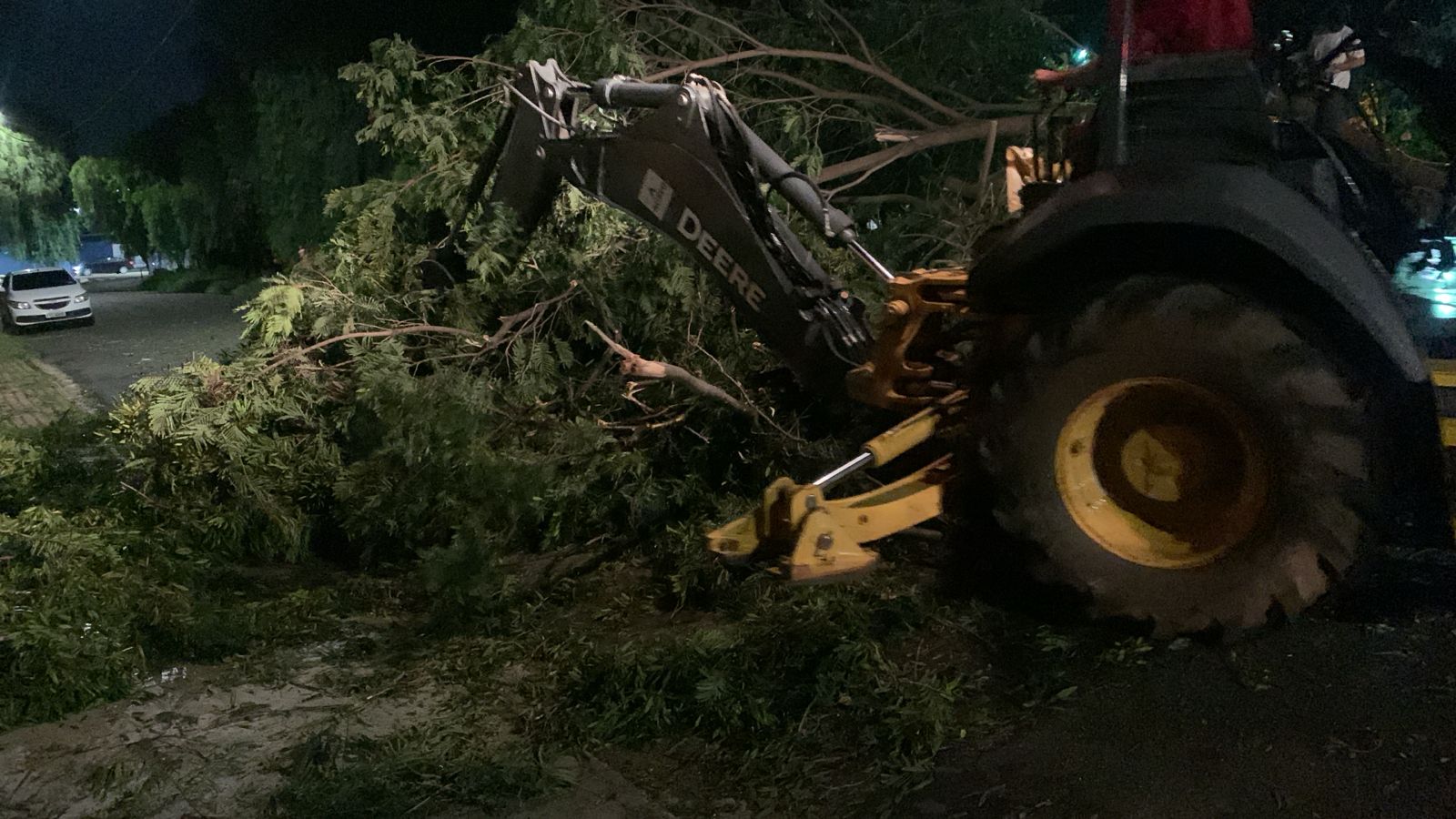 Fortes Chuvas Derrubam Árvores na Região Central de Sumaré