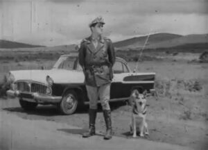 vigilan-te-cinca-300x216 Vai Vendo Brasil Portal de Notícias