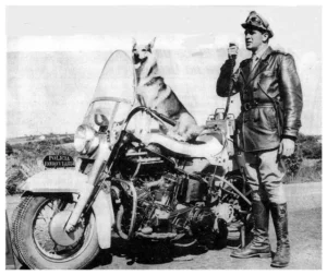 vigilante-moto-300x252 Morre aos 91 anos no interior de São Paulo o Tenente Coronel Carlos Miranda