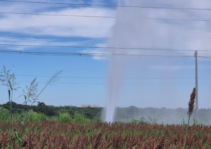 dae-hj-300x212 Vai Vendo Brasil Portal de Notícias