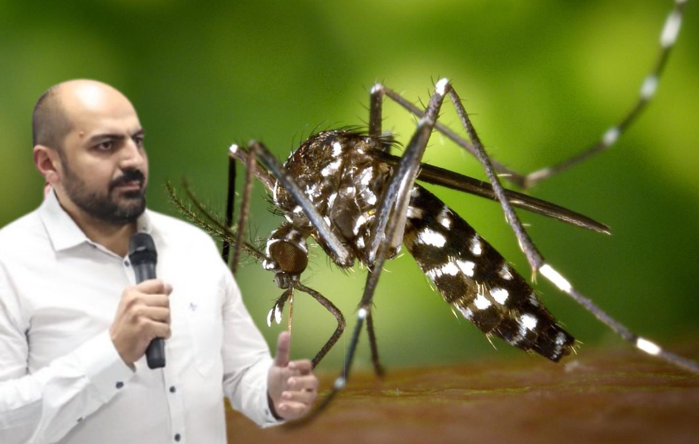 Americana enfrenta grave epidemia de dengue: 17 mortes e milhares de casos confirmados