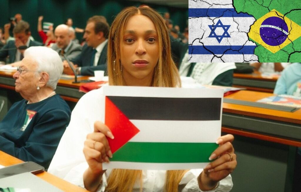 Erica-Hilton-X-PalestinaxIsrael-1024x652 Rompimento com Israel: entre a irresponsabilidade política e a desonestidade ideológica