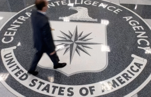 image-204-300x194 Vai Vendo Brasil Portal de Notícias