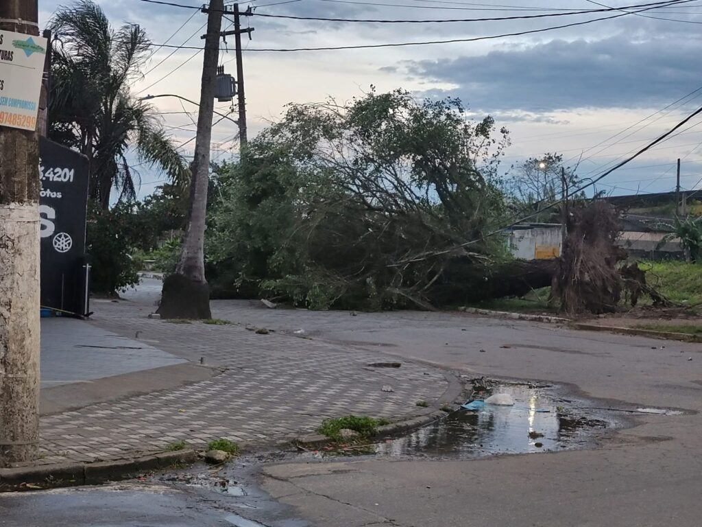 Imagem-do-WhatsApp-de-2025-07-28-as-09.21.26_ae93cdb9-1024x768 Defesa Civil envia equipes após ciclone extratropical e ventos de mais de 100 km/h causarem transtornos no estado de SP