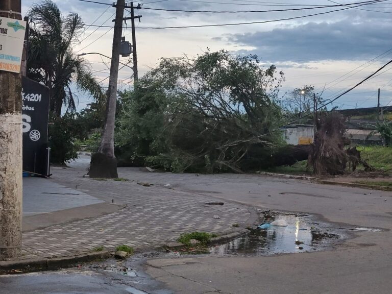 Imagem-do-WhatsApp-de-2025-07-28-as-09.21.26_ae93cdb9-768x576 Vai Vendo Brasil Portal de Notícias