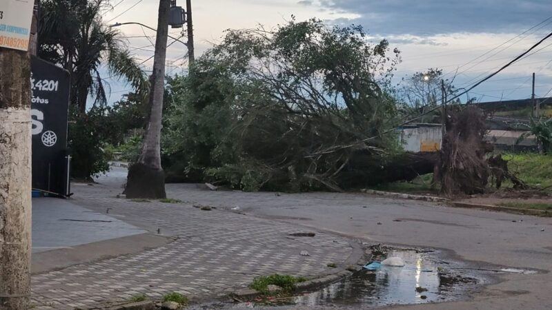 Defesa Civil envia equipes após ciclone extratropical e ventos de mais de 100 km/h causarem transtornos no estado de SP