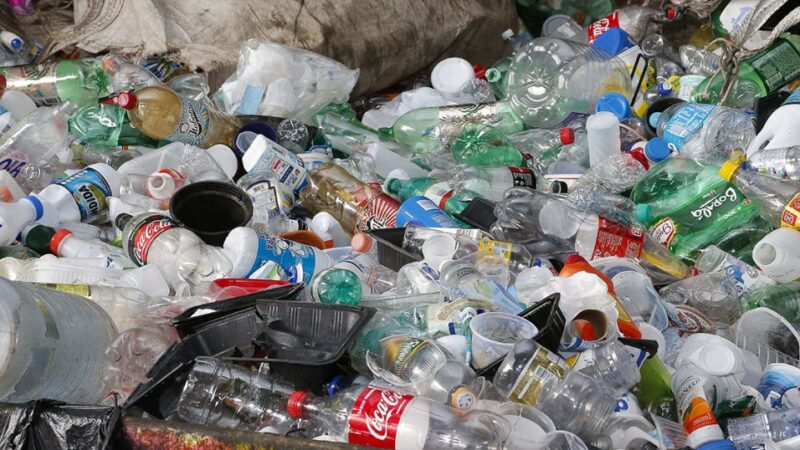 Microplásticos no cérebro humano podem estar ligados a aumento de transtornos mentais