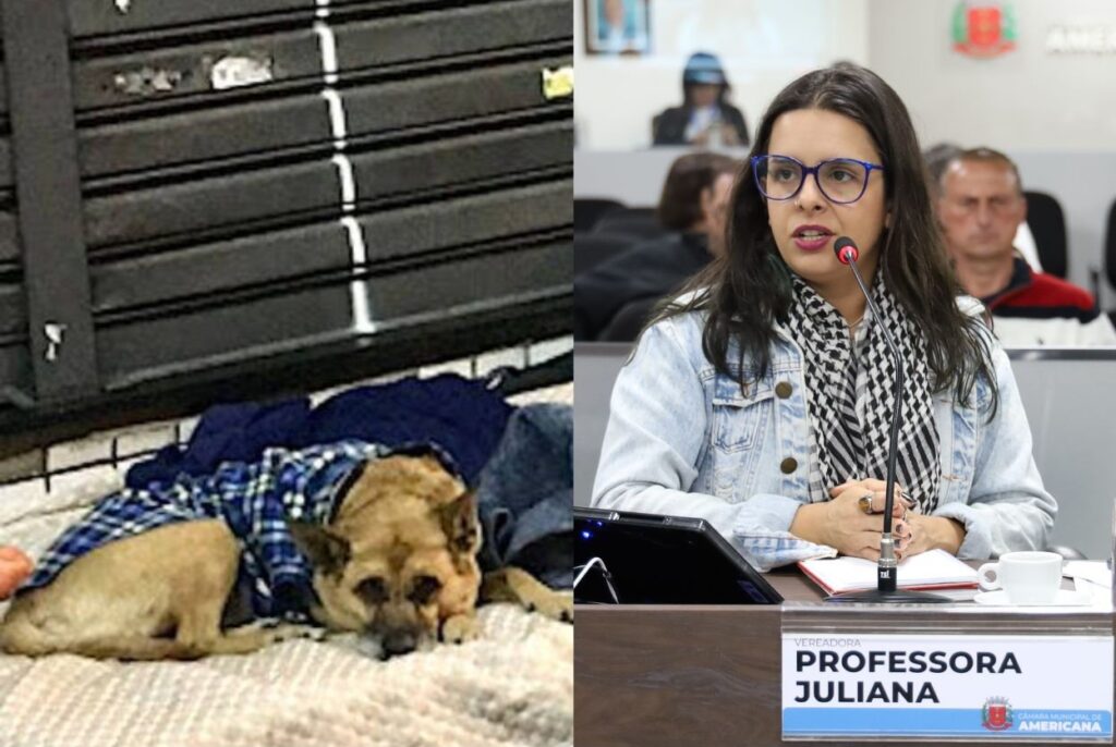 Professora-Juliana-Animais-de-rua-1024x686 Professora Juliana intensifica atuação pela proteção animal e pela responsabilidade social em Americana