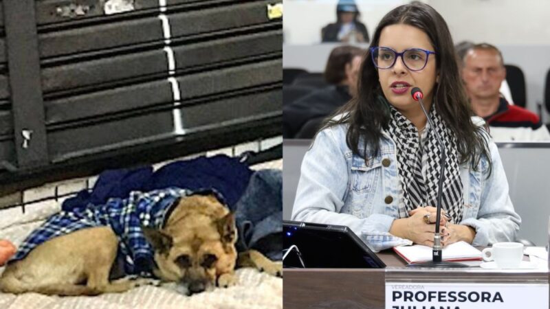 Professora Juliana intensifica atuação pela proteção animal e pela responsabilidade social em Americana