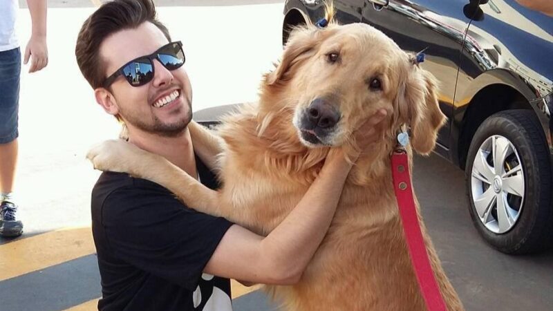 Após 12 anos de espera, Congresso aprova fim dos testes cosméticos em animais