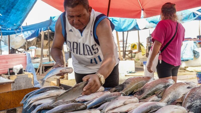 Produtores brasileiros começam a sentir efeitos da taxação dos EUA