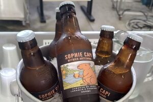 cerveja-Piracicaba-300x200 Vai Vendo Brasil Portal de Notícias