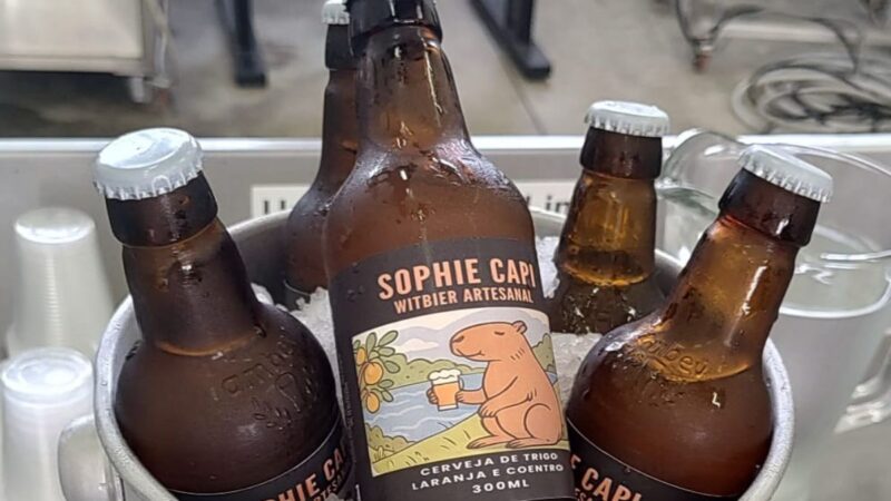 Dia 01 de Agosto foi Dia Internacional da Cerveja: Fatec Piracicaba desenvolve bebida com soro de leite e cactos