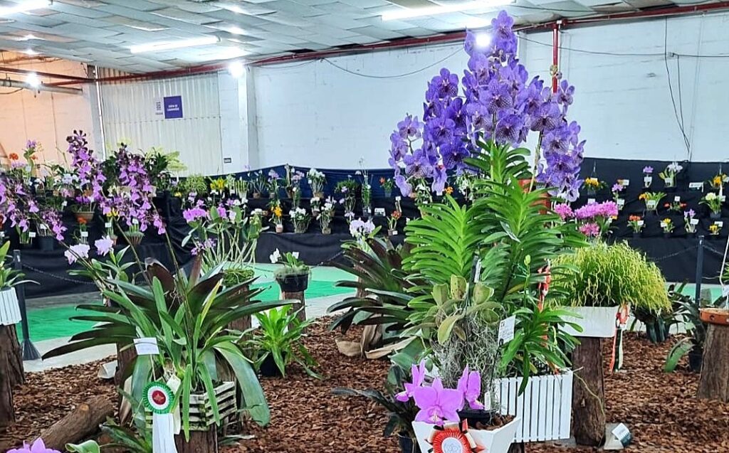 feira-agro-1-1024x637 Americana recebe Feira AgroUrbana e Exposição Nacional de Orquídeas até domingo na FIDAM
