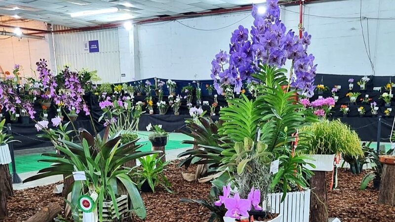 Americana recebe Feira AgroUrbana e Exposição Nacional de Orquídeas até domingo na FIDAM