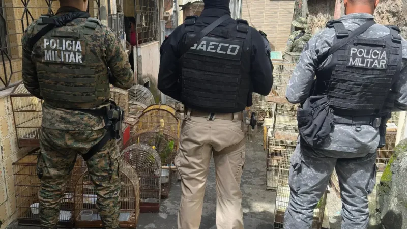 Operação prende na Bahia um dos maiores traficantes de animais do país