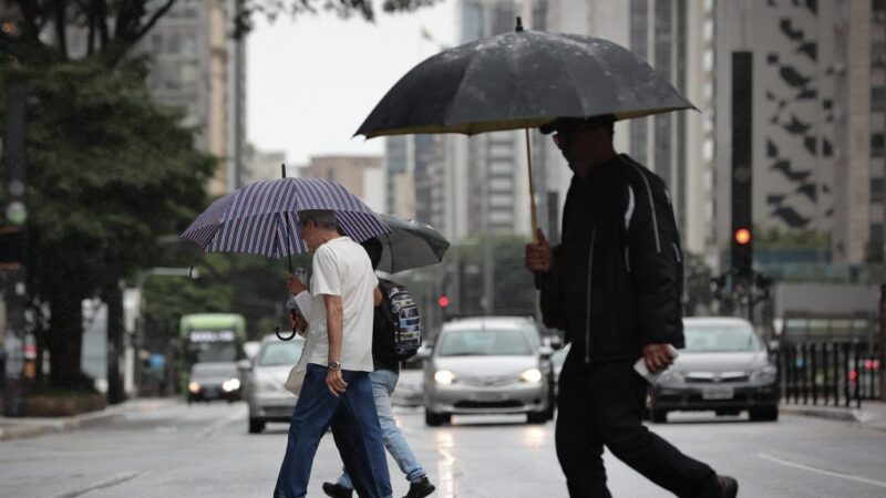 Defesa Civil alerta para risco de temporais e acumulados elevados de chuva no estado de São Paulo