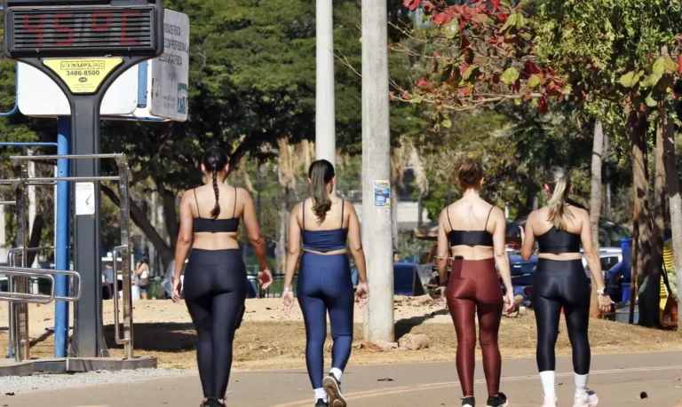 Calor-Estado-SP-768x459 Vai Vendo Brasil Portal de Notícias