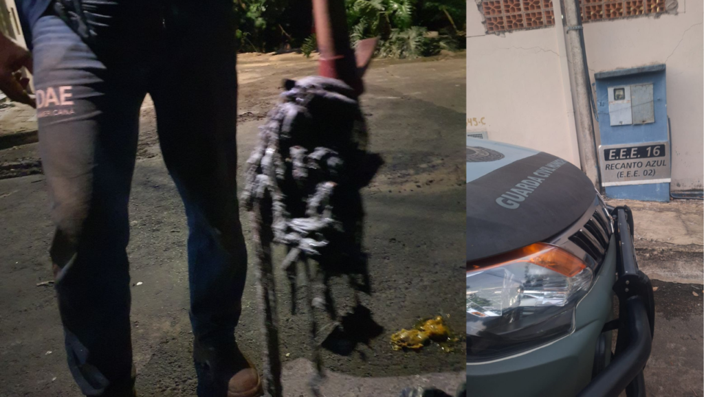 DAE-Boicote-1024x578 Suspeita de boicote ao DAE: GAMA e DAE identificam grande quantidade de tecido em rede de esgoto e investigam possível sabotagem