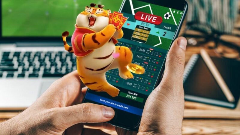 Aposta online e jogo de azar custam R$ 38,8 bi ao país, mostra estudo