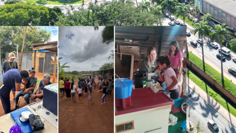 Americana que muitos americanenses não conhecem: não é só palmeiras imperiais da Avenida Brasil