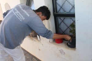 Dengue--300x200 Vai Vendo Brasil Portal de Notícias