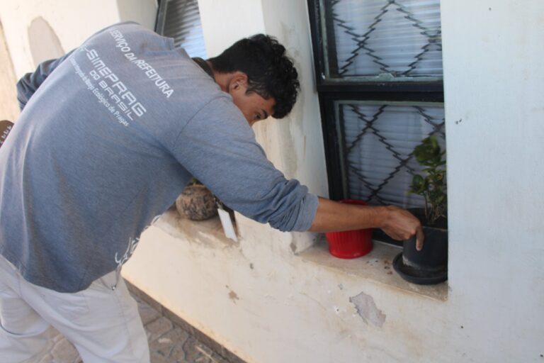 Dengue--768x512 Vai Vendo Brasil Portal de Notícias