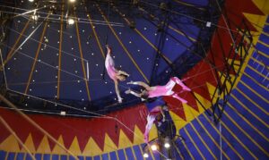 d6a2112-300x179 Vai Vendo Brasil Portal de Notícias